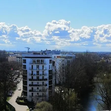 Cicha Przystan Platany