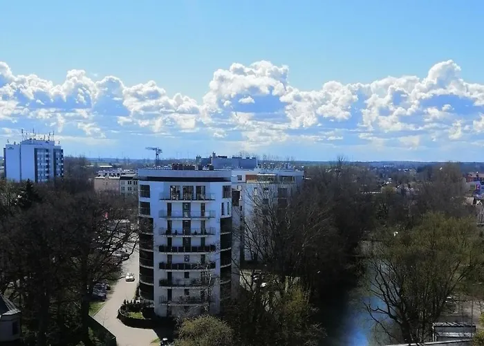 Cicha Przystan Platany